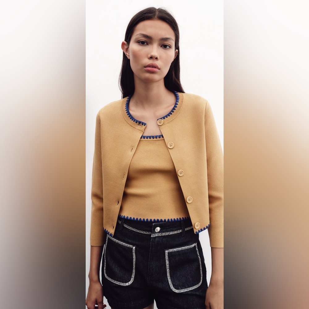 Zara Contrast Embroidery Knit Cardigan Camel Blue Trim Size Large NWT - Picture 4 of 15
